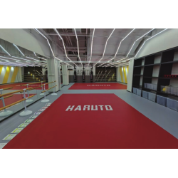 TATAMIS MULTISPORT enroulables personnalisables